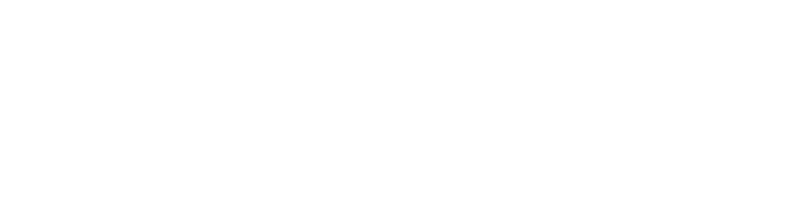 Admire Caremate Support Services
